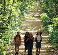 Wet Tropics Great Walk - Accommodation Burleigh