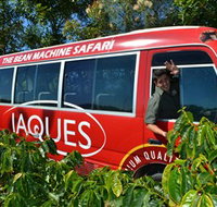 Jaques Coffee Plantation - Accommodation Burleigh