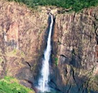 Gugigugi Butterfly Walk Wet Tropics Great Walk - Accommodation Burleigh