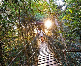 Tree Top Walkway - Accommodation Burleigh 0