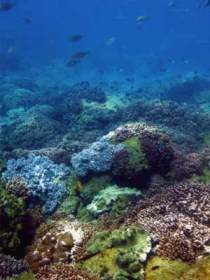 Bargara QLD Accommodation Burleigh