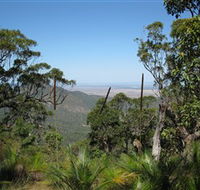 Zamia Walk - Accommodation Burleigh