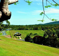 Sirromet Winery - Accommodation Burleigh