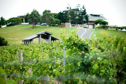 Sirromet Winery - Accommodation Burleigh 10