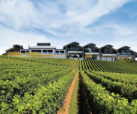 Sirromet Winery - Accommodation Burleigh 12