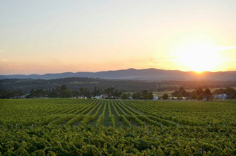 Sirromet Winery - Accommodation Burleigh 13