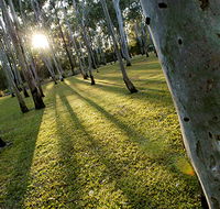 Tondoon Botanic Gardens - Accommodation Burleigh