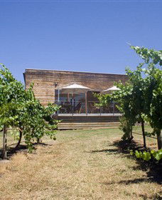 Shantell Vineyard - Accommodation Burleigh 0
