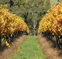 Wild Dog Winery  Restaurant - Accommodation Burleigh