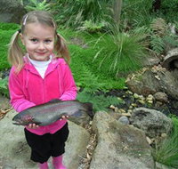 Wild Food Farm  Cafe - Accommodation Burleigh