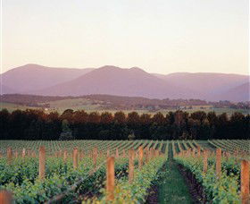 Domaine Chandon - Accommodation Burleigh 0