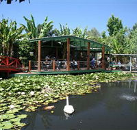 Blue Lotus Water Garden - Accommodation Burleigh