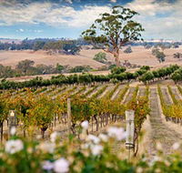 Redesdale Estate - Accommodation Burleigh