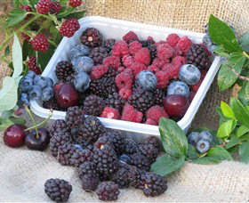 Porepunkah VIC Accommodation Burleigh