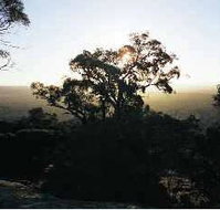 Yarra Flats - Accommodation Burleigh