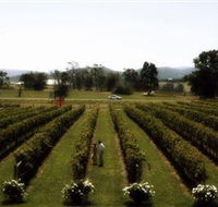 Rochford Wines - Accommodation Burleigh