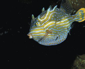  Accommodation Burleigh