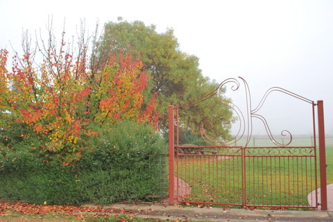 Stanton And Killeen Wines - Accommodation Burleigh 4