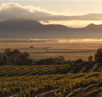 Montara Wines - Accommodation Burleigh