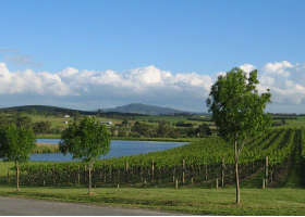 Yarrawood Estate - Accommodation Burleigh 0