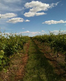 Chambers Rosewood Winery - Accommodation Burleigh 0