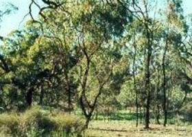 Appin South VIC Accommodation Burleigh