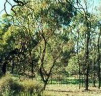Leaghur State Park - Accommodation Burleigh