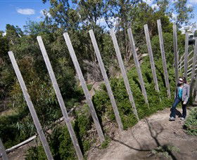 Herring Island Environmental Sculpture Park - Accommodation Burleigh 0