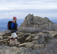 Mount Buffalo National Park - Accommodation Burleigh