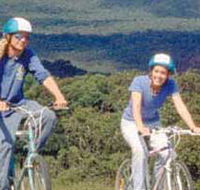 Lysterfield Park - Accommodation Burleigh