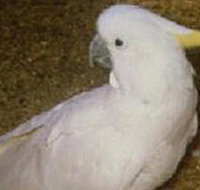 Plenty Gorge Park - Accommodation Burleigh