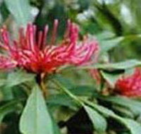 Alfred National Park - Accommodation Burleigh