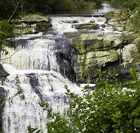 Agnes Falls Scenic Reserve - Accommodation Burleigh