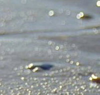 Cape Liptrap Coastal Park - Accommodation Burleigh