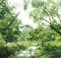 Holey Plains State Park - Accommodation Burleigh