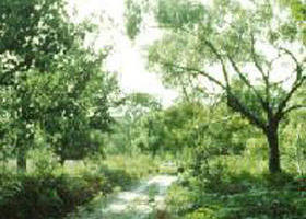 Holey Plains State Park - Accommodation Burleigh 0