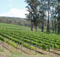 Piedmont Vineyard - Accommodation Burleigh