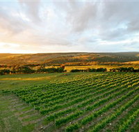 Nazaaray - Accommodation Burleigh