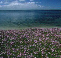 The Lakes National Park - Accommodation Burleigh