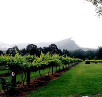 Cambewarra Estate Wines - Accommodation Burleigh