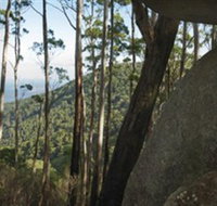 Gulaga National Park - Accommodation Burleigh