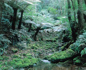 Deua National Park - Accommodation Burleigh 0