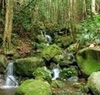 Budderoo National Park - Accommodation Burleigh