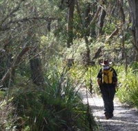 Barren Grounds Nature Reserve - Accommodation Burleigh