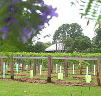 Douglas Vale Historic Homestead  Vineyard - Accommodation Burleigh