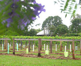 Douglas Vale Historic Homestead & Vineyard - Accommodation Burleigh 0