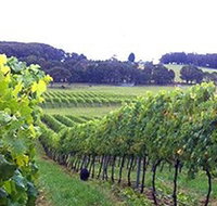 Banjo's Run Winery and Vineyard - Accommodation Burleigh