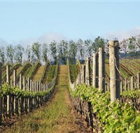 Philip Shaw Wines - Accommodation Burleigh