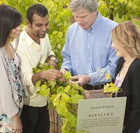 Jacob's Creek Vineyard Tour - Accommodation Burleigh
