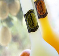 Ambra Limoncello - Accommodation Burleigh